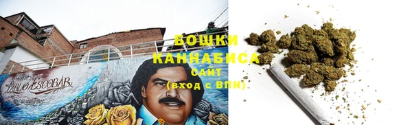 крисы Бронницы