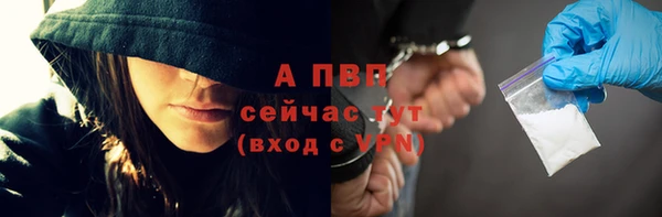 крисы Бронницы
