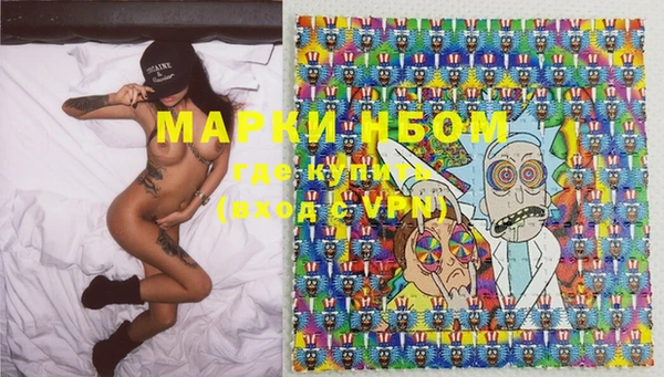 крисы Бронницы
