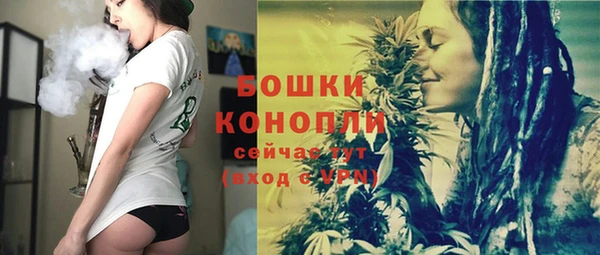 крисы Бронницы