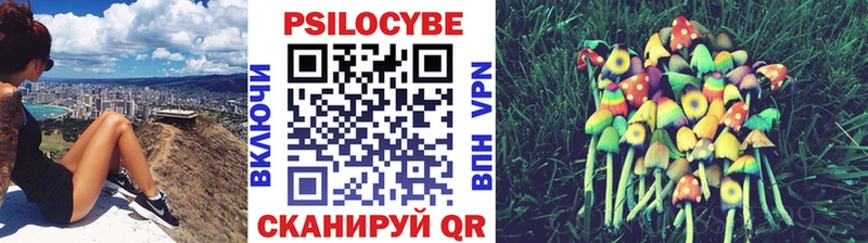 Галлюциногенные грибы MAGIC MUSHROOMS  shop телеграм  Вязники  магазин продажи наркотиков 
